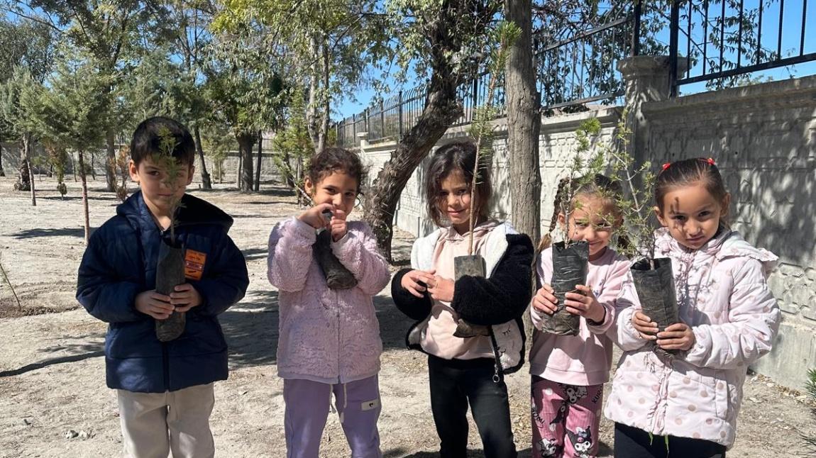 Fidan Dikimi Etkinliği